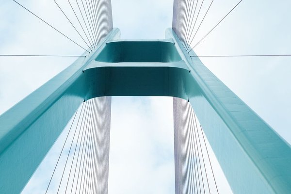 New standards for professional trustees