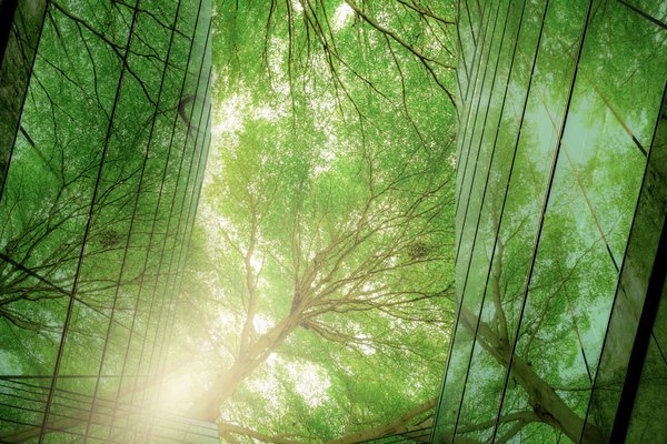 Pension scheme trustees: what you need to know about investments and ESG
